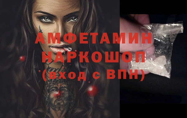 сатива Заводоуковск