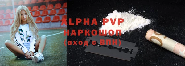 сатива Заводоуковск