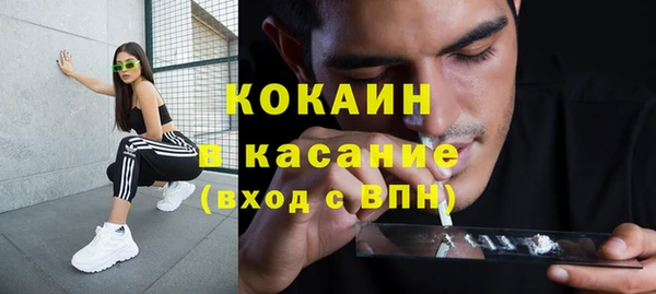 сатива Заводоуковск