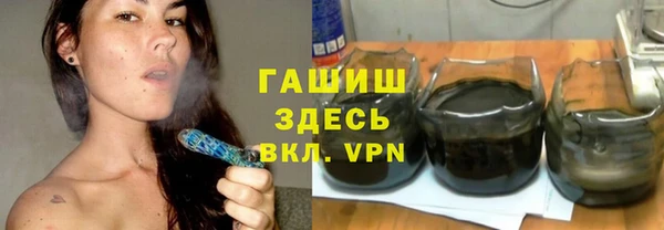 сатива Заводоуковск