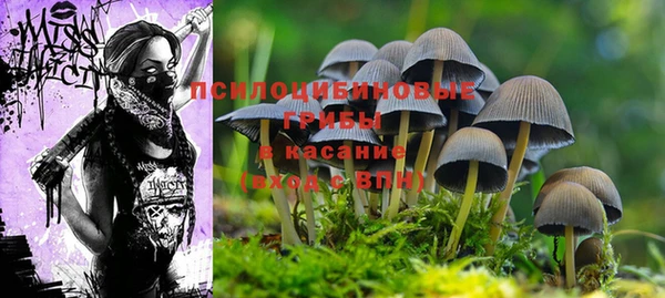 спиды Заволжск