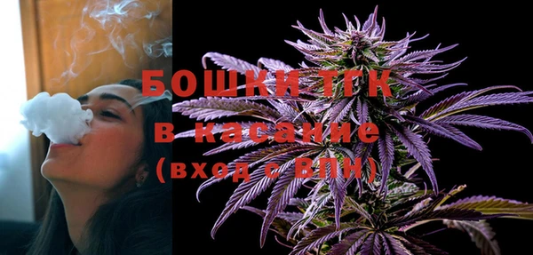 сатива Заводоуковск
