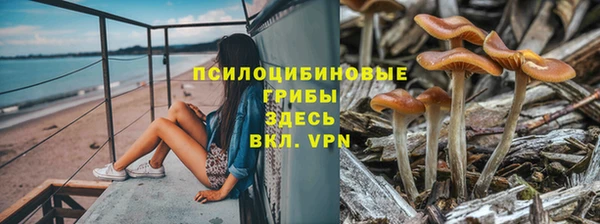 спиды Заволжск