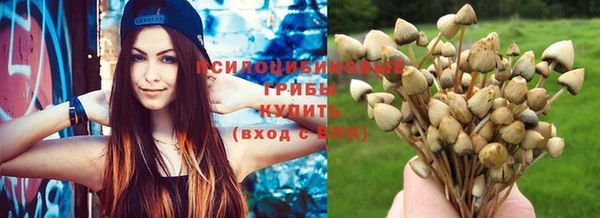 спиды Заволжск