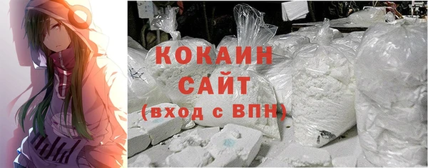 сатива Заводоуковск