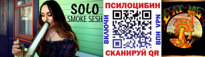 Псилоцибиновые грибы MAGIC MUSHROOMS  Камень-на-Оби 